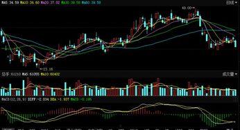 东港股份最新爆料消息,揭秘企业转型新动向与市场布局策略